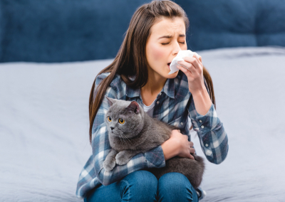 Jak léčit alergickou rýmu?